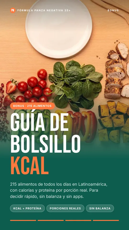 Portada de la Guía de Bolsillo